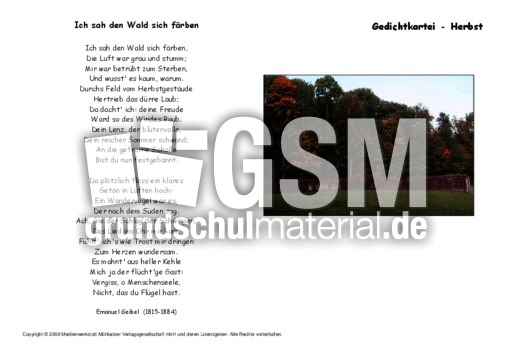 Ich-sah-den-Wald-Geibel.pdf